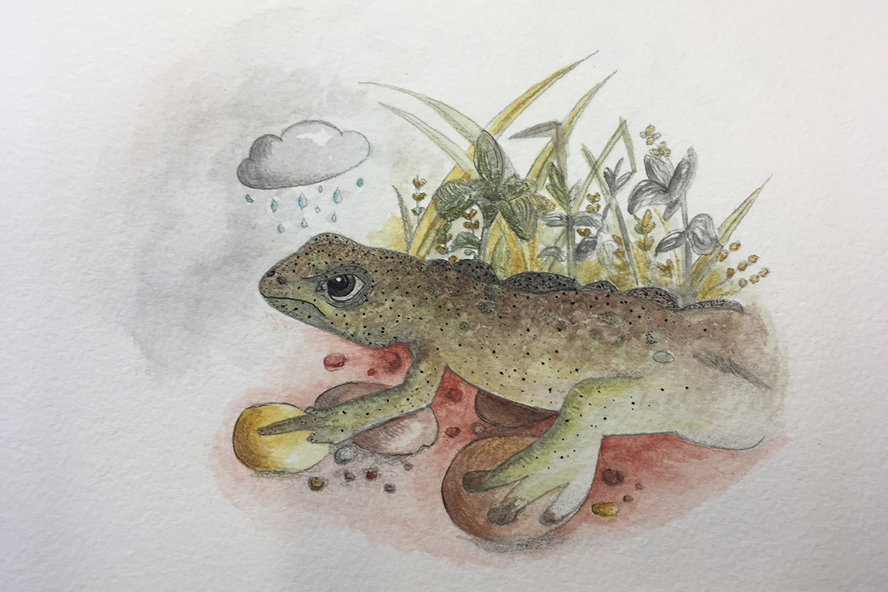 Newt Character With Rain Cloud Over It's HeadIllustration