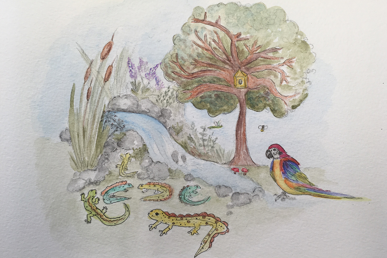 Parrot Character Illustration With A Group Of Newts