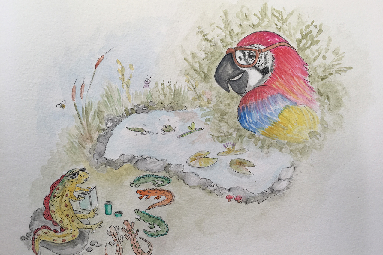 Parrot Character Illustration Learning From Newt teacher